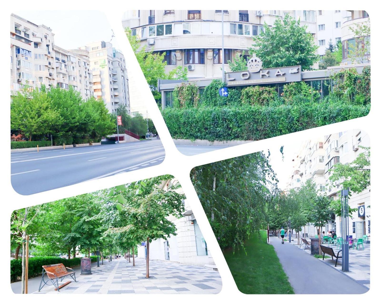 Central Apartament Bulevardul Decebal Bukarest Exterior foto